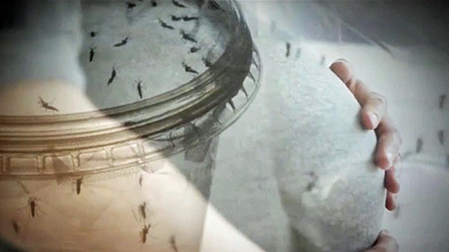 CDC_declares__casual_link__between_Zika_