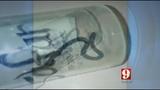Nursing center patient goes to bathroom, finds snake in underpants