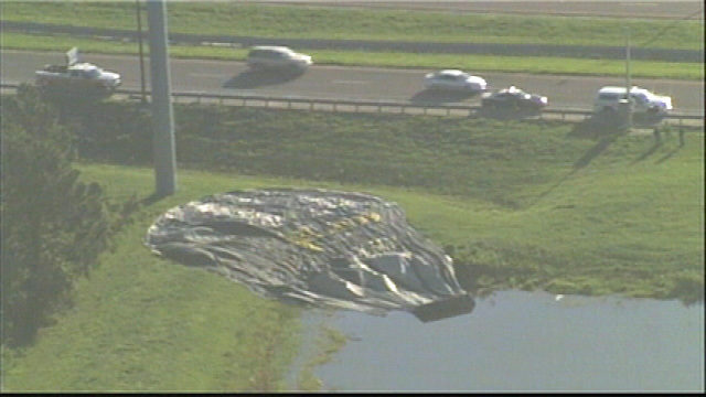 Hot air balloon lands in gator-infested Florida pond Hot air balloon lands in gator-infested Florida pond