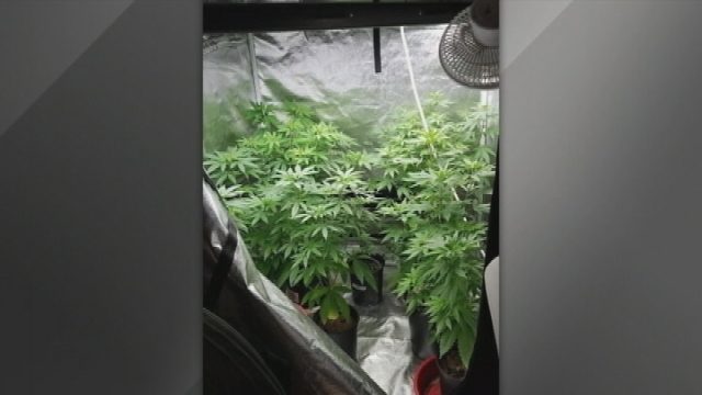 How Weed Won The West Movie Watch Online How Weed Won The West Movie Watch Online