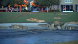 Video: 12 sinkholes form in Ocala neighborhood