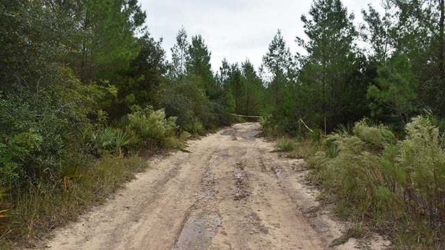 Hunter uncovers body in Ocala National Forest, says area smelled 'like death' - WFTV Orlando